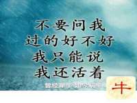安徽杰盼电子商务有限公司
