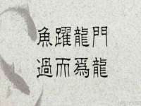 安徽杰盼电子商务有限公司