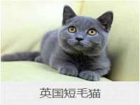 安徽杰盼电子商务有限公司