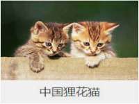 安徽杰盼电子商务有限公司