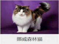安徽杰盼电子商务有限公司