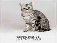 安徽杰盼电子商务有限公司