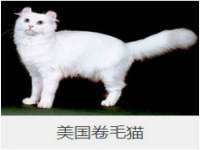 安徽杰盼电子商务有限公司