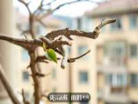 安徽杰盼电子商务有限公司