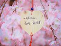 安徽杰盼电子商务有限公司