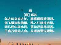 安徽杰盼电子商务有限公司