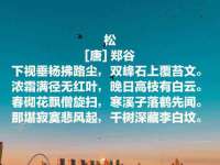 安徽杰盼电子商务有限公司