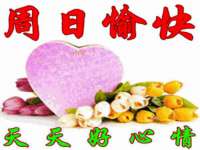 安徽杰盼电子商务有限公司