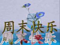 安徽杰盼电子商务有限公司