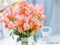 安徽杰盼电子商务有限公司