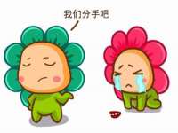安徽杰盼电子商务有限公司