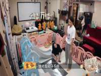 安徽杰盼电子商务有限公司